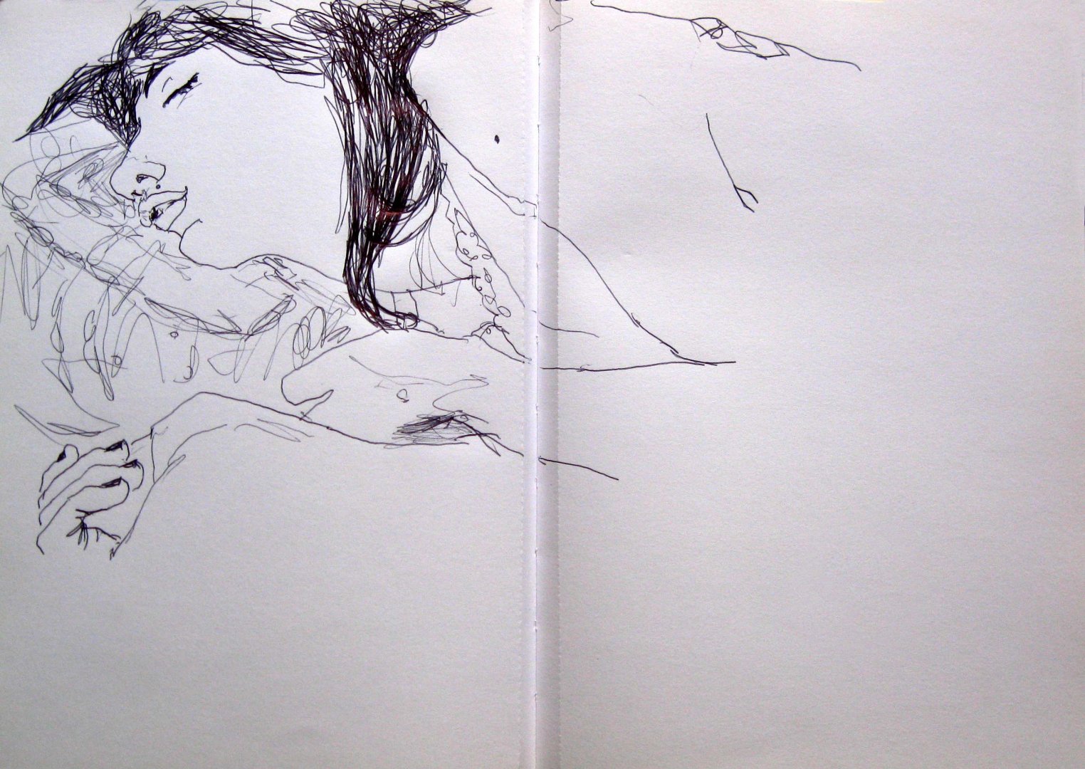 bic_01